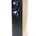 TalusRightThreeQuarters-1