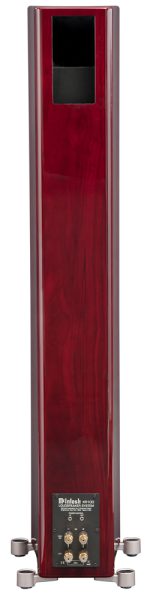 XR100 Walnut Back