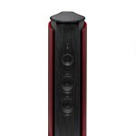 EMANUELE TORTORA 2017