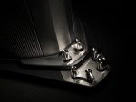Lilium_studio01_0135edit-1