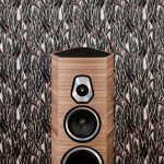 EMANUELE TORTORA 2017