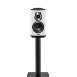 EMANUELE TORTORA 2017