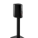 EMANUELE TORTORA 2017