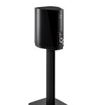 EMANUELE TORTORA 2017