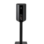 EMANUELE TORTORA 2017