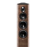 EMANUELE TORTORA 2017