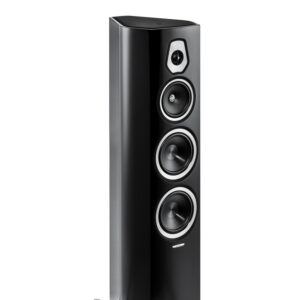 SONETTO V