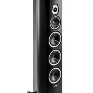 SONETTO VIII