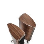 EMANUELE TORTORA 2017